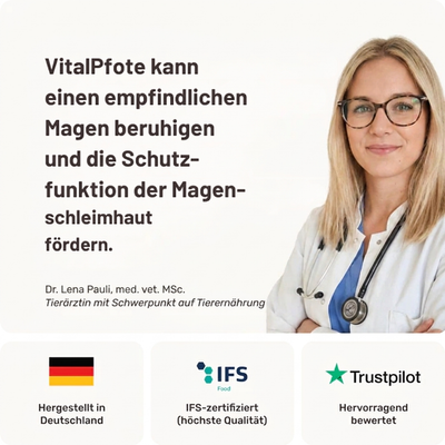 VitalPfote - Tägliche Bites