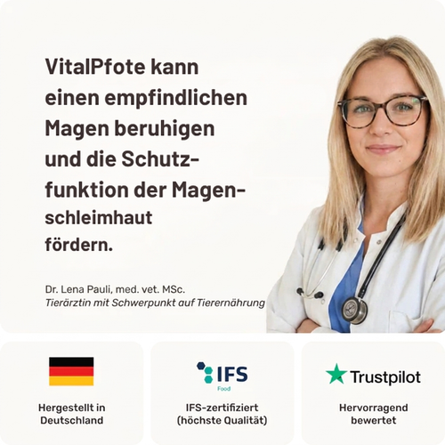 VitalPfote - Tägliche Bites