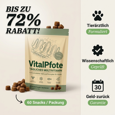 VitalPfote - Tägliche Bites
