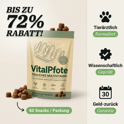 VitalPfote - Tägliche Bites